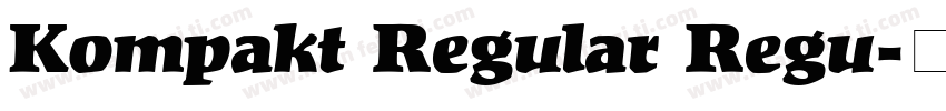 Kompakt Regular Regu字体转换